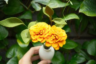 (Category: ) located in . Submitted by softer.seasons (Listing ID 1381840446, Image 1). Description: .