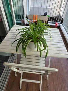 (Category: ) located in . Submitted by mellykoo (Listing ID 1381734460, Image 1). Description: .
