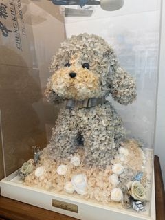 （分類：）位於 。 由 j_y______ 提交（商品編號 1381796476，圖片 1）。簡介： 。