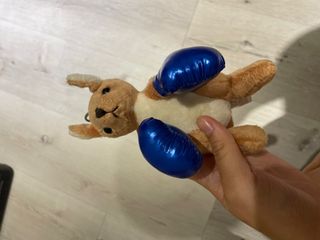 由 kkkkkkkl.k (刊登 ID 1381904568，圖片 1) 提交，位於 的 (類別：)，說明：。