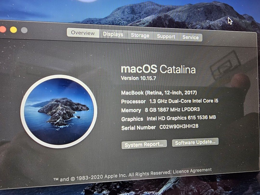 Apple Macbook - Rose Gold63221271661059114