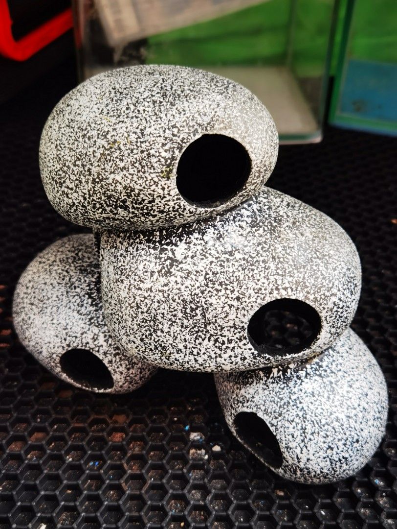 Aquarium Cichlid Stone Shelter Hiding Cave Ceramic Rock Shrimp Breeding Fish Tank Pond Ornament Aquarium Landscaping Decoration (Category: Homes & Other Pet Accessories) located in Singapore. Submitted by ronaldchiaph (Listing ID 1379266292, Image 1). Description: Aquarium Cichlid Stone Shelter Hiding Cave Ceramic Rock Shrimp Breeding Fish Tank Pond Ornament Aquarium Landscaping Decoration 1pc only Collection around Beauty World MRT. Thanks..