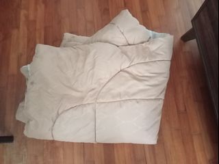 (Category: ) located in . Submitted by megachalizardxy (Listing ID 1381954685, Image 1). Description: .