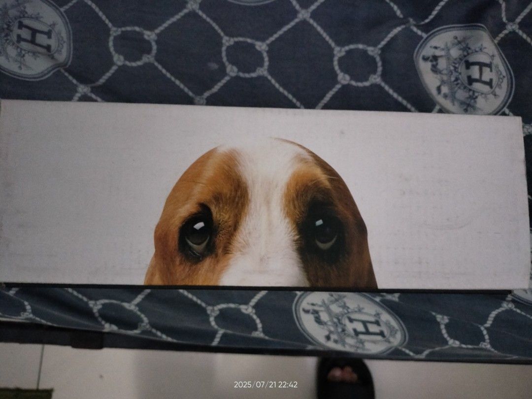 hush puppies (Category: Shoe inserts) located in Pasig City. Submitted by emoone (Listing ID 1382060638, Image 2). Description: hndi po nagamit madami akong shoe nabili ko lang un January 2025 naka stock lang sya box pede shipping basta sagot nyo po.