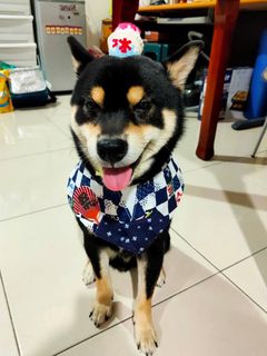 由 ruru_dai (刊登 ID 1381910769，圖片 1) 提交，位於 的 (類別：)，說明：。