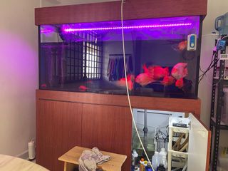 (Category: ) located in . Submitted by adax1984 (Listing ID 1381943855, Image 1). Description: .