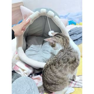 由 luo_o_ (刊登 ID 1381977507，圖片 1) 提交，位於 的 (類別：)，說明：。