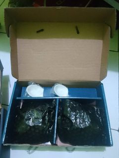 (Kategori: ) berada di . Dikirim oleh syaidatunn29235 (ID iklan 1381998281, Gambar 1). Deskripsi: .