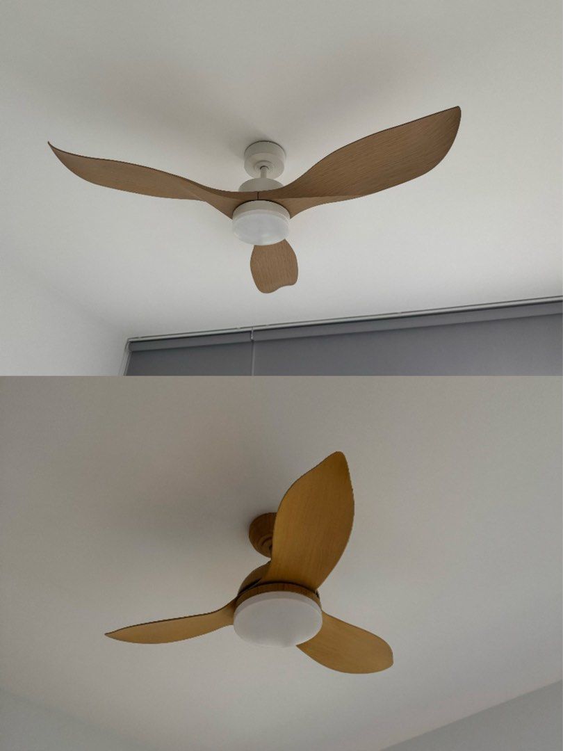 Modern Ceiling Fan with Light