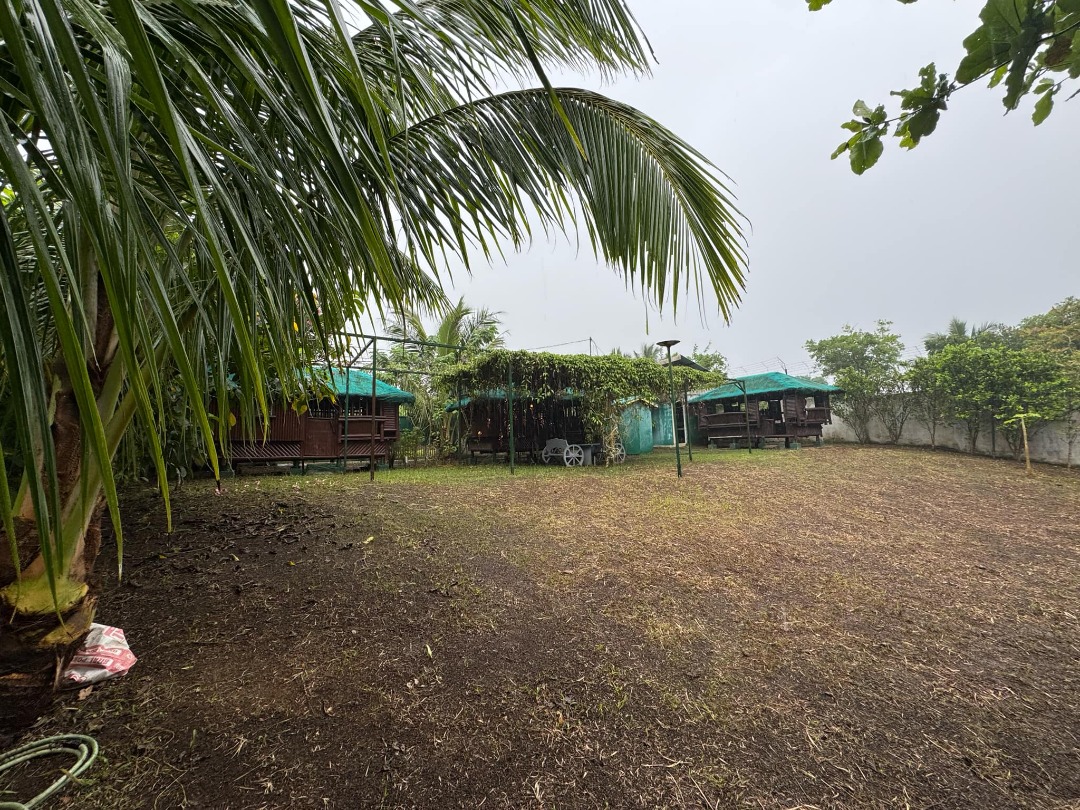 (Category: ) located in . Submitted by paolobarotillaleadrealty (Listing ID 1381953105, Image 1). Description: .