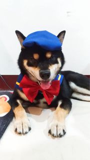 由 ruru_dai (刊登 ID 1381918370，圖片 1) 提交，位於 的 (類別：)，說明：。