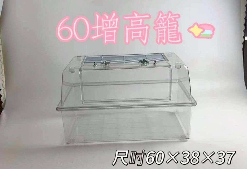 由 as2231425683334 (刊登 ID 1382169268，圖片 1) 提交，位於 台北市 (Taipei) 的 全新60增高籠 倉鼠籠 (類別：寵物及其他)，說明：尺寸60×38×37 放得下30公分以下跑輪 可搭配套組$1440 可帶回26跑輪+木屋+水壺+食盆。