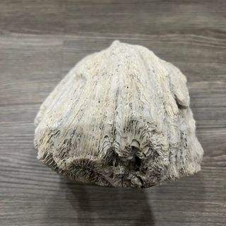 由 kking236e (刊登 ID 1382234210，圖片 1) 提交，位於 的 (類別：)，說明：。
