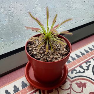 （分類：）位於 。 由 cyys0 提交（商品編號 1380635305，圖片 1）。簡介： 。