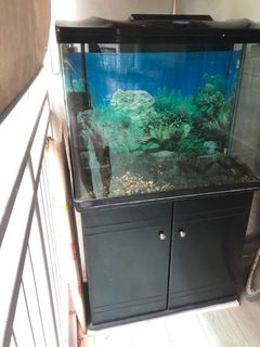 (Category: ) located in . Submitted by ethlyyy (Listing ID 1382279314, Image 1). Description: .