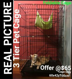 (Category: ) located in . Submitted by petstyle888 (Listing ID 1382147576, Image 1). Description: .
