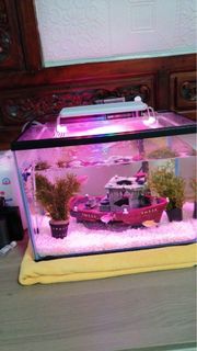 (Category: ) located in . Submitted by kelvinchl (Listing ID 1382237329, Image 1). Description: .