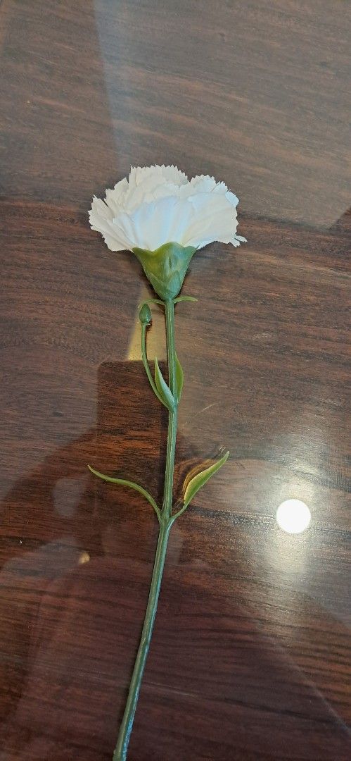 Flower with vase64885331072899111