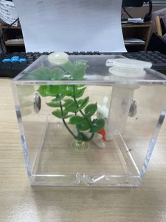 由 tea3031 (刊登 ID 1382129407，圖片 1) 提交，位於 的 (類別：)，說明：。