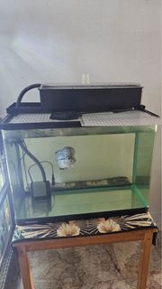 (Category: ) located in . Submitted by e_o_s_s (Listing ID 1382122426, Image 1). Description: .