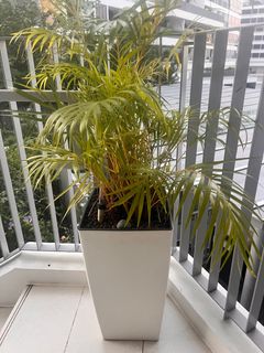 (Category: ) located in . Submitted by athenall (Listing ID 1382216414, Image 1). Description: .