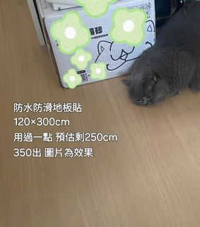 由 yuyu0715 (刊登 ID 1382486329，圖片 1) 提交，位於 的 (類別：)，說明：。
