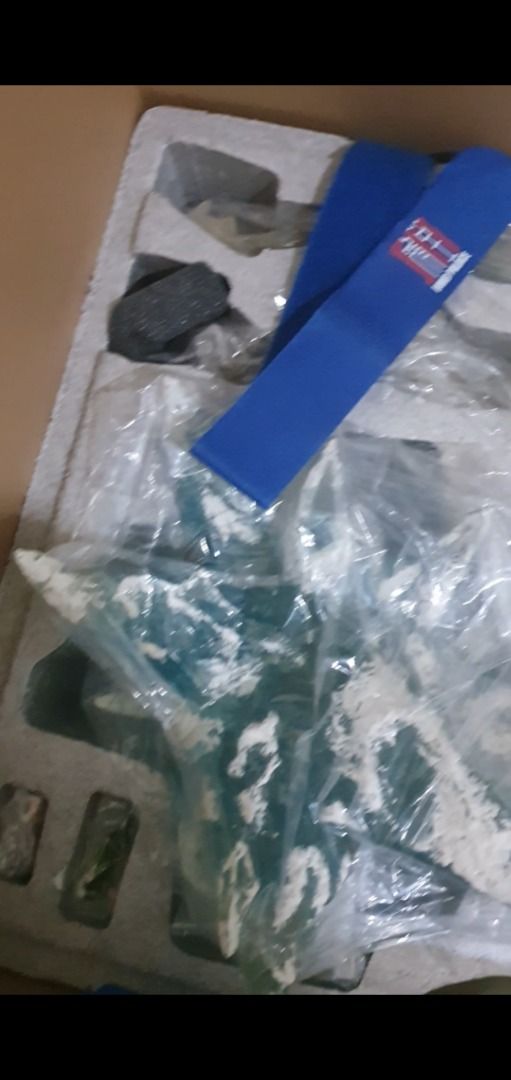 由 vb1472580313285 (刊登 ID 1382423885，圖片 3) 提交，位於 台北市 (Taipei) 的 集美青雉2.0 (類別：互動遊戲公仔)，說明：無損，已恢復原狀。