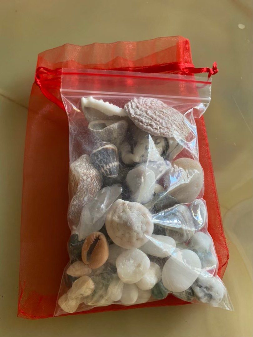 由 ken01190119 (刊登 ID 1382324738，圖片 1) 提交，位於 高雄市 (Kaohsiung) 的 貝殼～來自海洋的祝福訊息～ (類別：其他居家裝飾)，說明：貝殼～來自海洋的祝福訊息～貝殼 小水晶石海邊小石頭 大大小小55個收藏多年 。