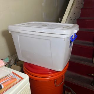 由 phoebe_1217 (刊登 ID 1382487632，圖片 1) 提交，位於 的 (類別：)，說明：。