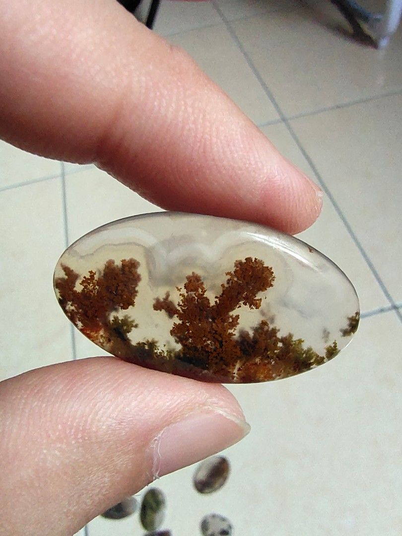 Batu alam motif tanaman aquascape (Kategori: Pajangan Antik) berada di Medan. Dikirim oleh setengah_sempurna (ID iklan 1382389237, Gambar 2). Deskripsi: Liontin Batu Alami Bermotif Tanaman Air, Motif Adalah fosil Ganggang/lumut Jaminan 100% Batu Alami, Uang Kembali apabila Palsu.. 0812-6353-7177.