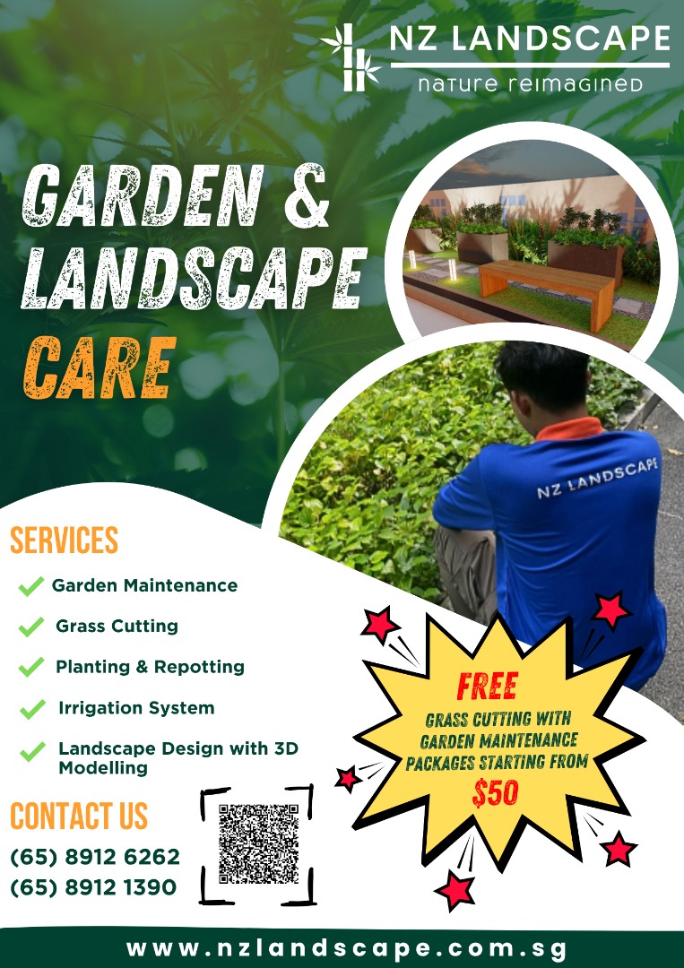 Grass plant” For Sale Buy 100+ “Grass plant” online Carousell