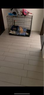 (Category: ) located in . Submitted by evelynlyh00 (Listing ID 1382376572, Image 1). Description: .