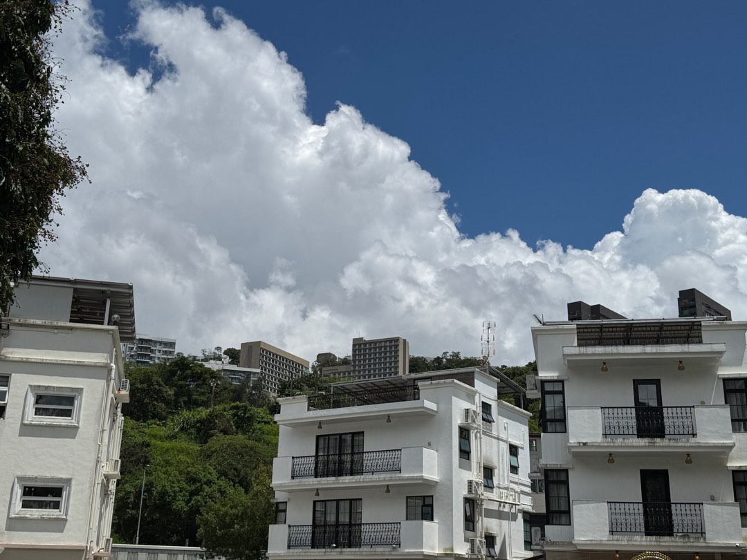 大埔白石角優質住宅項目｜兩棟現成村屋＋兩塊住宅地皮｜$5500萬｜免補地價64077577598338111