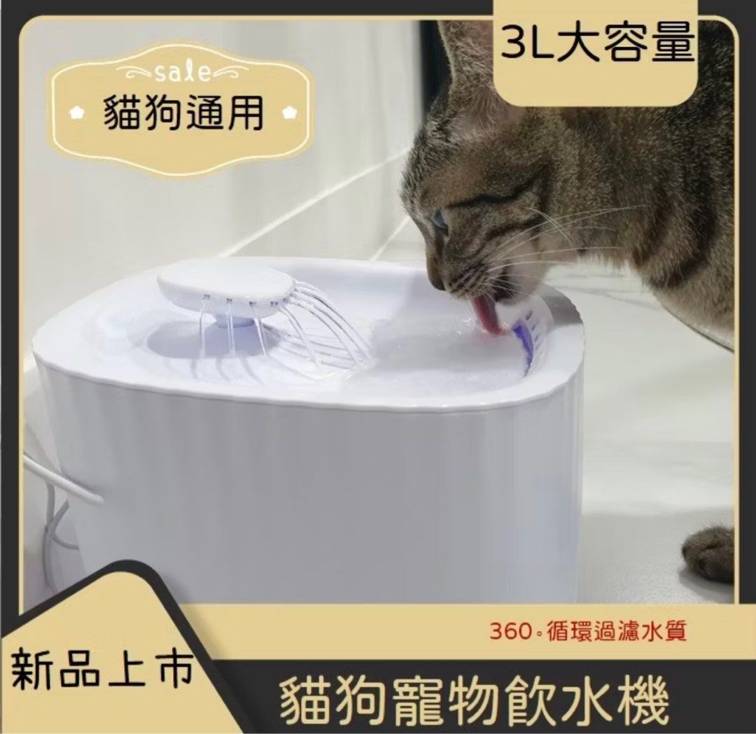 由 plm119899 (刊登 ID 1382679128，圖片 1) 提交，位於 高雄市 (Kaohsiung) 的 寵物飲水機 (類別：寵物及其他)，說明：家貓不會用故出售🙌🏻 僅裝過水啟用一次 九成新！。