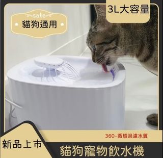 由 plm119899 (刊登 ID 1382679128，圖片 1) 提交，位於 的 (類別：)，說明：。