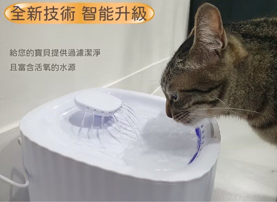 由 plm119899 (刊登 ID 1382679128，圖片 3) 提交，位於 高雄市 (Kaohsiung) 的 寵物飲水機 (類別：寵物及其他)，說明：家貓不會用故出售🙌🏻 僅裝過水啟用一次 九成新！。