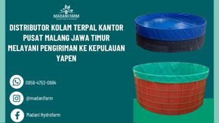 (Kategori: ) berada di . Dikirim oleh farhanmada50173 (ID iklan 1382530279, Gambar 1). Deskripsi: .