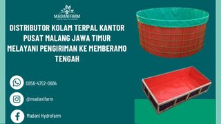 (Kategori: ) berada di . Dikirim oleh farhanmada50173 (ID iklan 1382562242, Gambar 1). Deskripsi: .