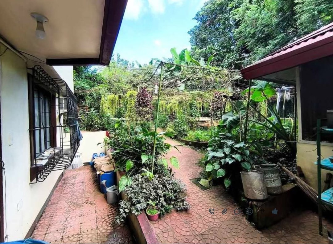 (Category: ) located in . Submitted by adslistings (Listing ID 1382508181, Image 1). Description: .