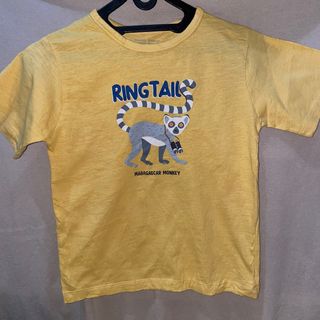 (Kategori: ) berada di . Dikirim oleh sfgstore (ID iklan 1382505324, Gambar 1). Deskripsi: .