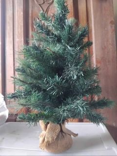 (Category: ) located in . Submitted by chloebrycedeclutters (Listing ID 1382587050, Image 1). Description: .