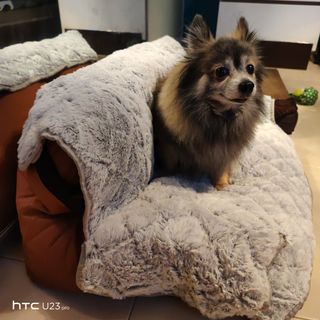 (Category: ) located in . Submitted by postalcode531008 (Listing ID 1382571848, Image 1). Description: .