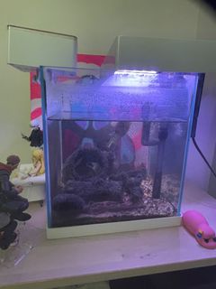 （分類：）位於 。 由 murdock.os 提交（商品編號 1382643678，圖片 1）。簡介： 。