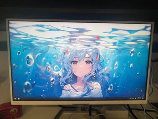 23-inch Monitor
