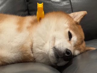 （分類：）位於 。 由 hillday 提交（商品編號 1382741302，圖片 1）。簡介： 。