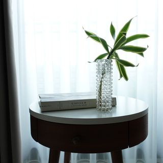 由 jiu-plants (刊登 ID 1382779889，圖片 1) 提交，位於 的 (類別：)，說明：。