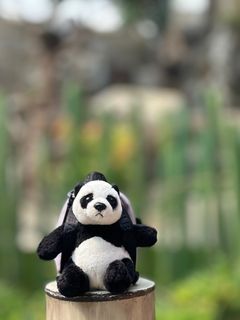 （分類：）位於 。 由 happysharingman 提交（商品編號 1382757504，圖片 1）。簡介： 。
