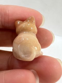 由 peiyuciou (刊登 ID 1382761432，圖片 1) 提交，位於 的 (類別：)，說明：。