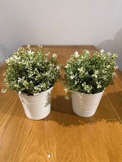 (Category: ) located in . Submitted by mepqcin (Listing ID 1382834692, Image 1). Description: .