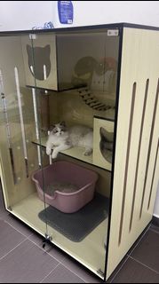 (Category: ) located in . Submitted by furpet (Listing ID 1382713027, Image 1). Description: .